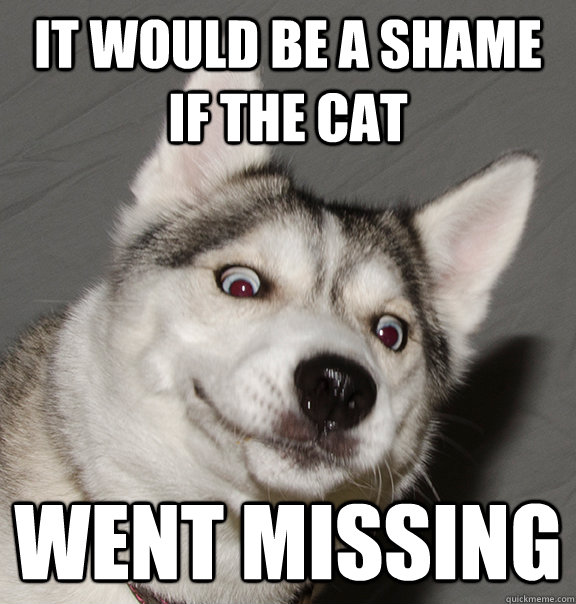 It would be a shame if the cat went missing  
