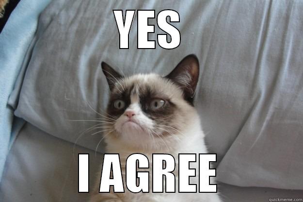 YES I AGREE - YES I AGREE Grumpy Cat