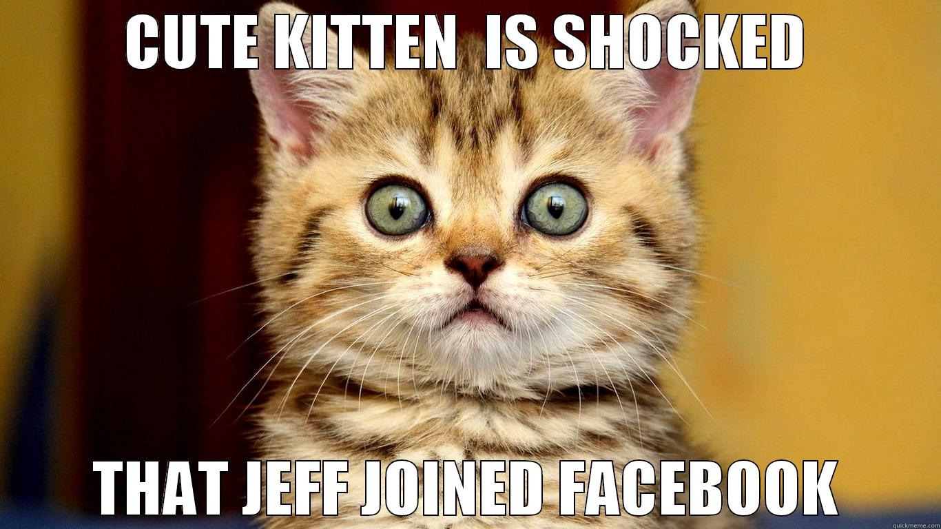 CUTE KITTEN  IS SHOCKED THAT JEFF JOINED FACEBOOK Misc