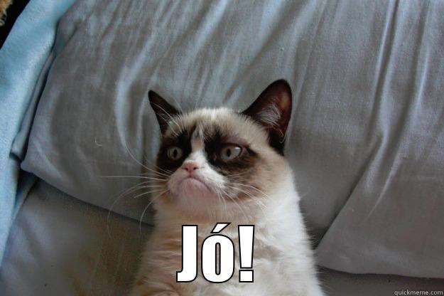 Grumpy cat -  JÓ! Grumpy Cat