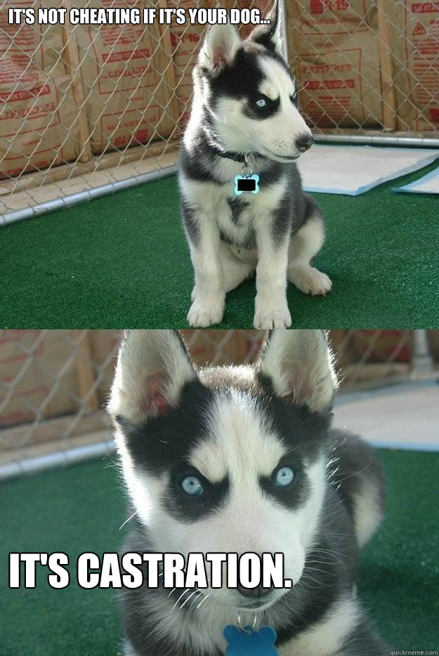 It's not cheating if it's your dog... It's castration. - It's not cheating if it's your dog... It's castration.  Insanity puppy