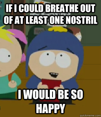 If I could breathe out of at least one nostril  I would be so happy  Craig - I would be so happy