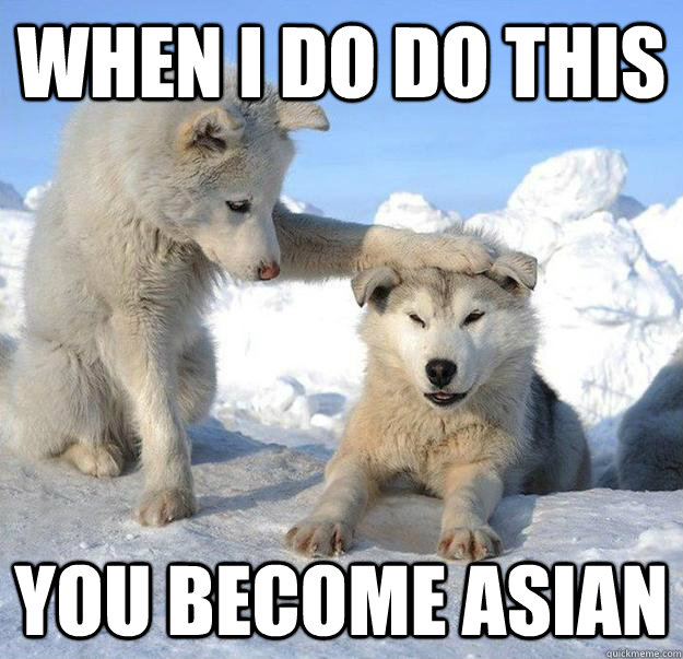when i do do this you become asian  Caring Husky
