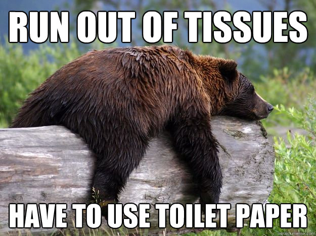 RUn out of tissues have to use toilet paper - RUn out of tissues have to use toilet paper  Bad News Bear