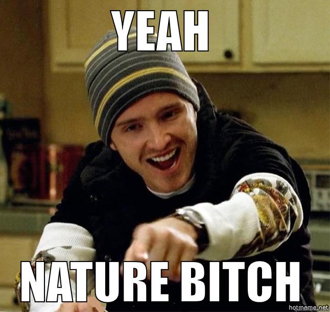 YEAH NATURE BITCH Misc