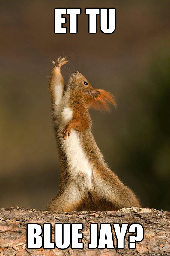 Et tu Blue Jay?  Shakespeare Squirrel