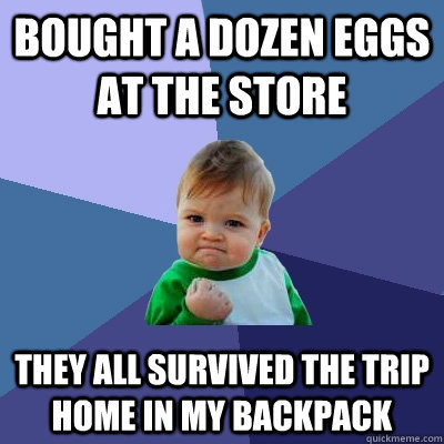 Bought a dozen eggs at the store they all survived the trip home in my backpack  Success Kid