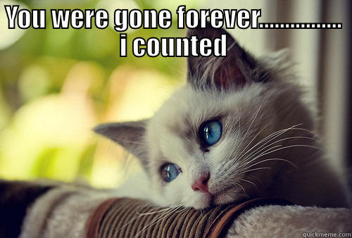 You were gone forever... - YOU WERE GONE FOREVER................ I COUNTED  First World Problems Cat