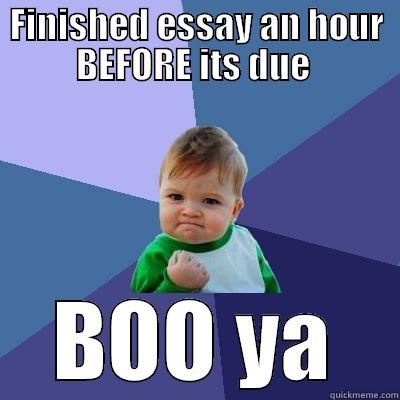 FINISHED ESSAY AN HOUR BEFORE ITS DUE  BOO YA Success Kid