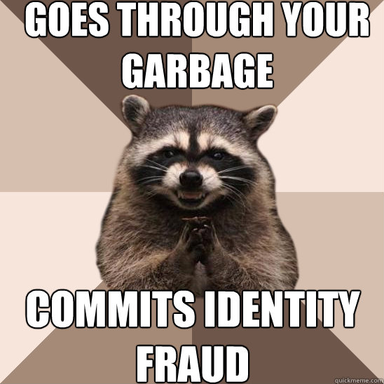 goes through your garbage commits identity fraud  Evil Plotting Raccoon