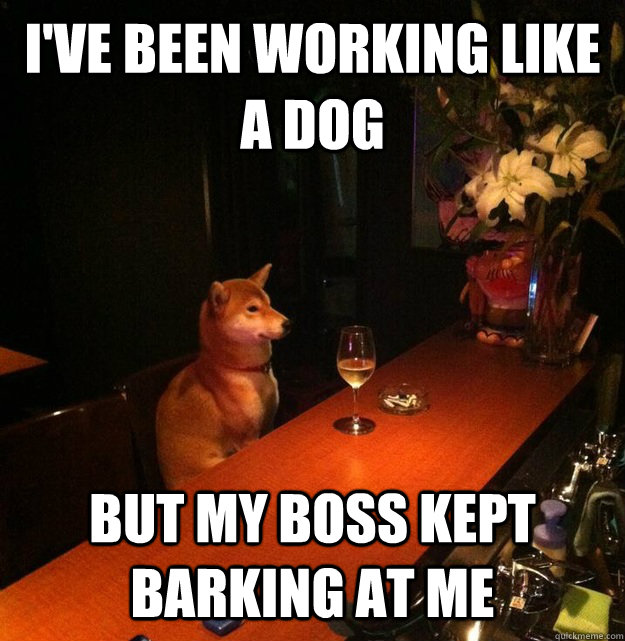 I've been working like a dog But my boss kept barking at me - I've been working like a dog But my boss kept barking at me  Troubled Working Dog