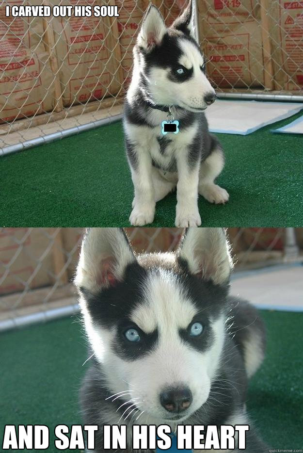 I carved out his soul and sat in his heart  Insanity puppy