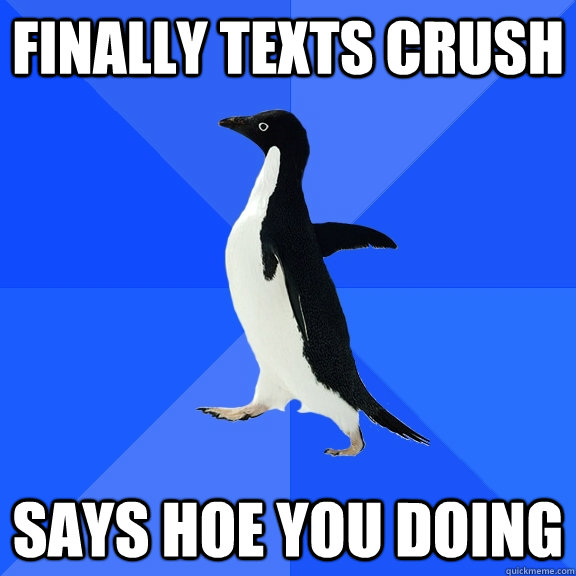 finally texts crush says hoe you doing  Socially Awkward Penguin