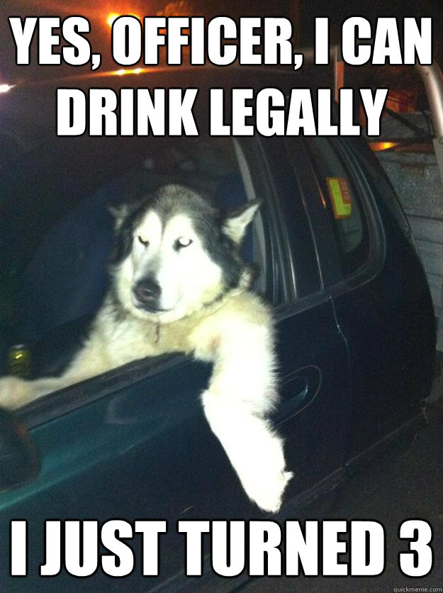 Yes, OFFICER, I CAN DRINK LEGALLY I JUST TURNED 3  