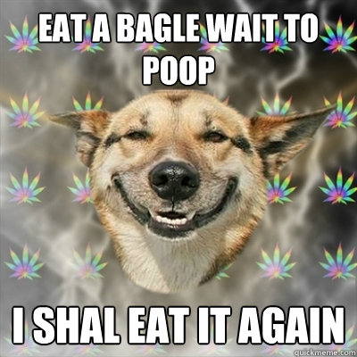 eat a bagle wait to poop i shal eat it again  Stoner Dog