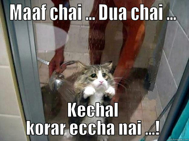 MAAF CHAI ... DUA CHAI ... KECHAL KORAR ECCHA NAI ...! Shower kitty