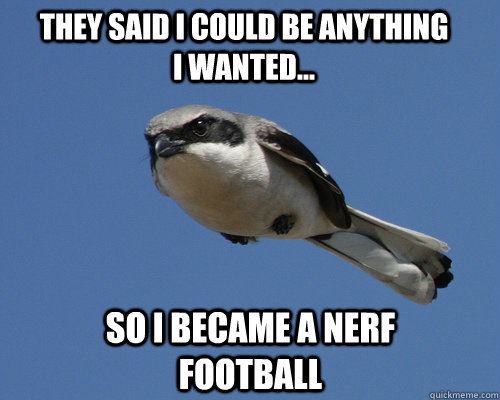 They said i could be anything i wanted... so i became a nerf football - They said i could be anything i wanted... so i became a nerf football  Missile bird
