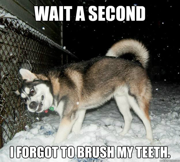 wait a second I forgot to brush my teeth.  Sudden Clarity Canine