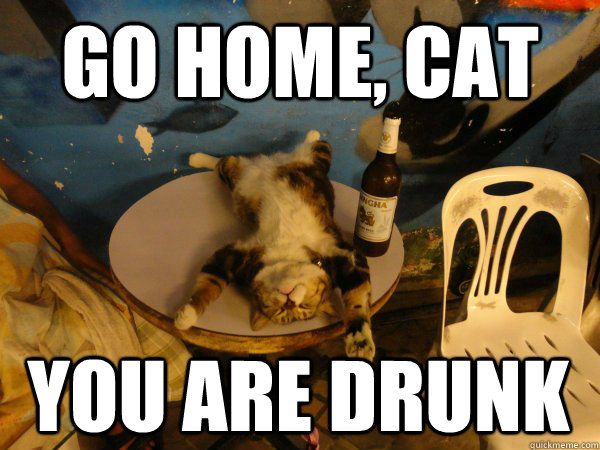 Go Home, Cat You are drunk  Drunk Cat