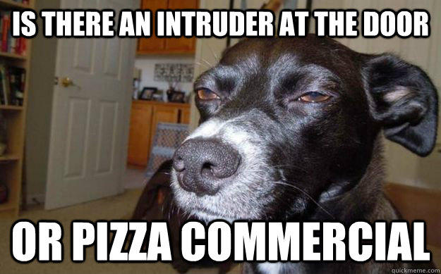 Is there an intruder at the door or pizza commercial   Skeptical Mutt