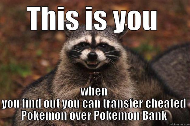 THIS IS YOU WHEN YOU FIND OUT YOU CAN TRANSFER CHEATED POKEMON OVER POKEMON BANK Evil Plotting Raccoon