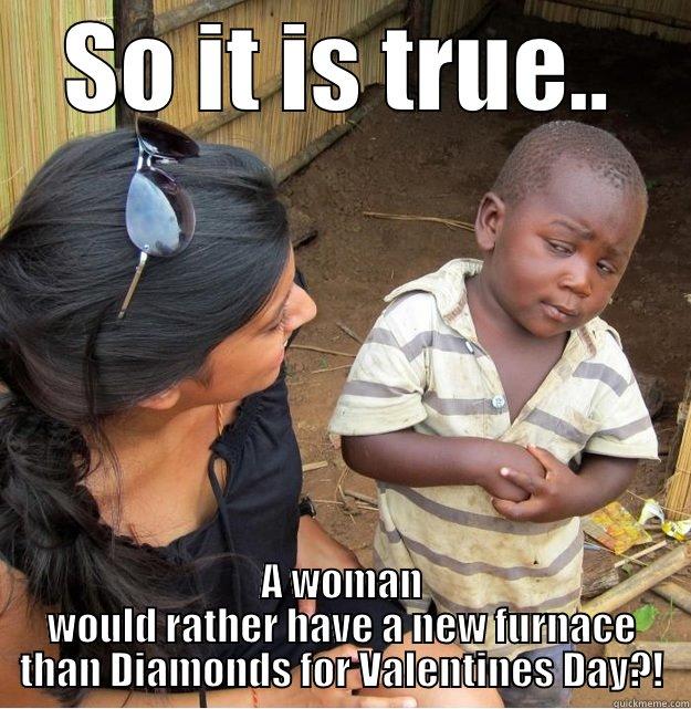 SO IT IS TRUE.. A WOMAN WOULD RATHER HAVE A NEW FURNACE THAN DIAMONDS FOR VALENTINES DAY?! Skeptical Third World Kid