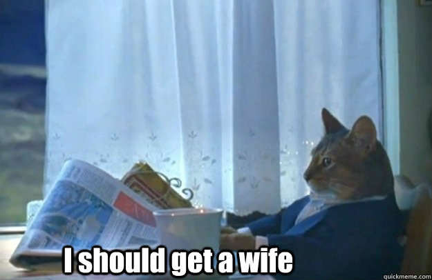 I should get a wife - I should get a wife  Sophisticated Cat is broke