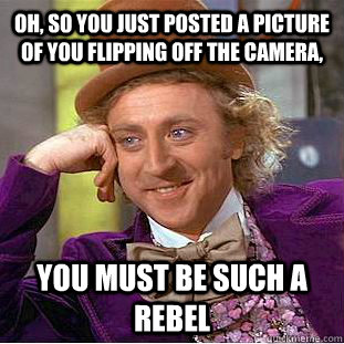 Oh, so you just posted a picture of you flipping off the camera, you must be such a rebel  You get nothing wonka