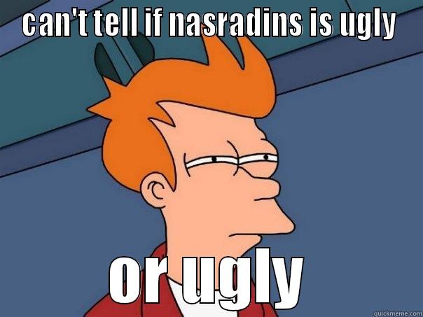 CAN'T TELL IF NASRADINS IS UGLY OR UGLY Futurama Fry