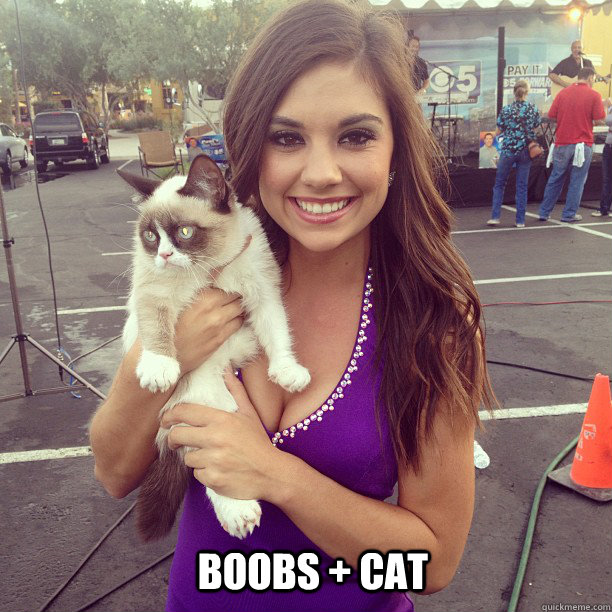 Boobs + cat - Boobs + cat  Misc