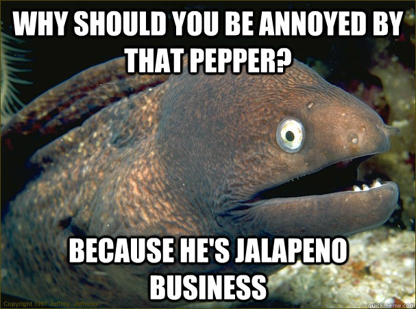 Why should you be annoyed by that pepper? Because He's Jalapeno business  Bad Joke Eel