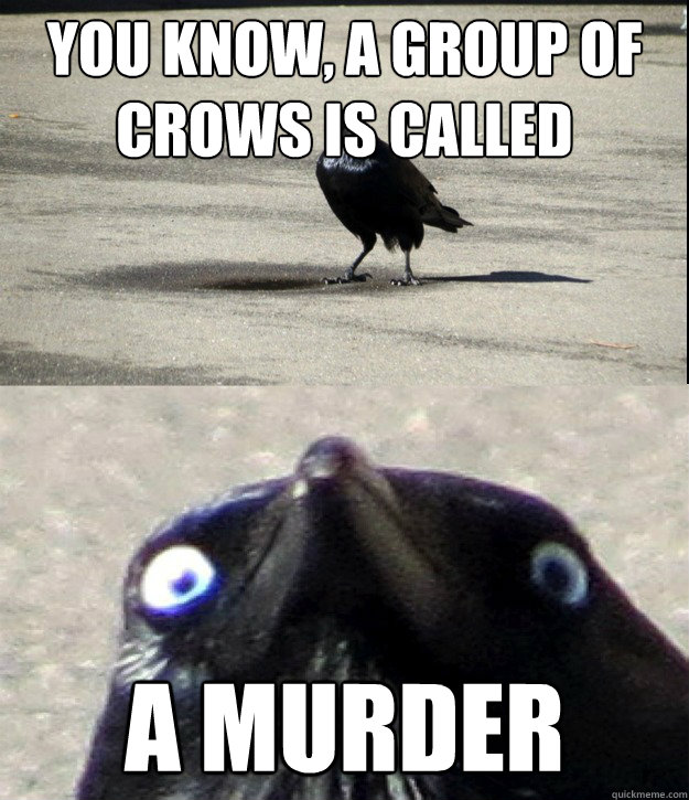 You know, a group of crows is called A murder  Insanity Crow
