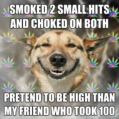 smoked 2 small hits and choked on both pretend to be high than my friend who took 100  Stoner Dog