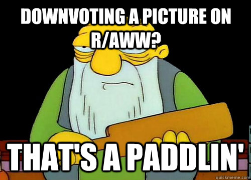 Downvoting a picture on r/aww? That's a Paddlin' - Downvoting a picture on r/aww? That's a Paddlin'  Thats a paddlin