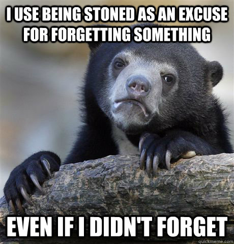 I use being stoned as an excuse for forgetting something  Even if I didn't forget  Confession Bear