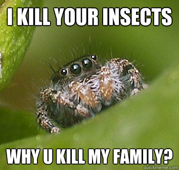 I kill your insects why u kill my family?  Misunderstood Spider