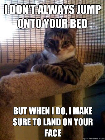 i don't always jump onto your bed but when I do, I make sure to land on your face  The Most Interesting Cat in the World