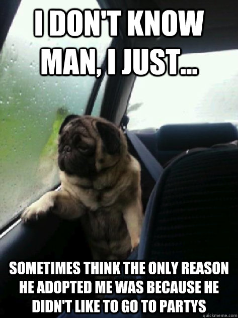 I don't know man, I just... sometimes think the only reason he adopted me was because he didn't like to go to partys  Introspective Pug