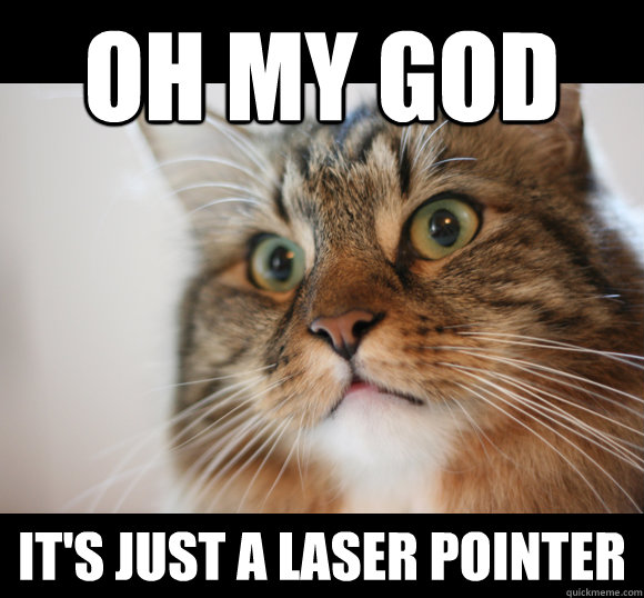 oh my god it's just a laser pointer  Sudden Clarity Cat