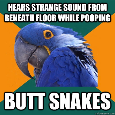 hears strange sound from beneath floor while pooping butt snakes  Paranoid Parrot