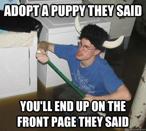 Adopt a puppy they said you'll end up on the front page they said  They said