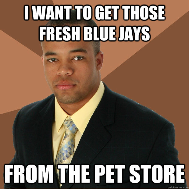 I want to get those fresh blue Jays from the pet store  Successful Black Man
