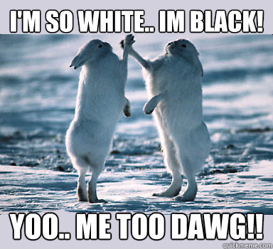 I'm so white.. im black! yoo.. me too dawg!!  Bunny Bros
