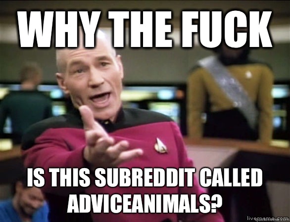 why the fuck is this subreddit called adviceanimals?  Annoyed Picard HD