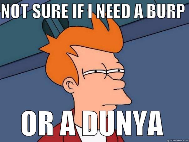 NOT SURE IF I NEED A BURP  OR A DUNYA Futurama Fry