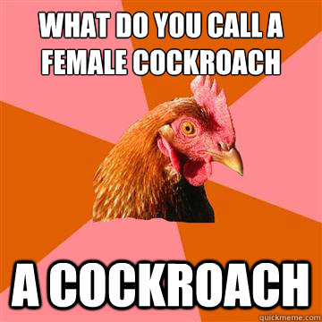 what do you call a female cockroach  a cockroach   Anti-Joke Chicken