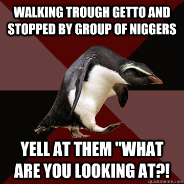 Walking trough getto and stopped by group of niggers Yell at them 