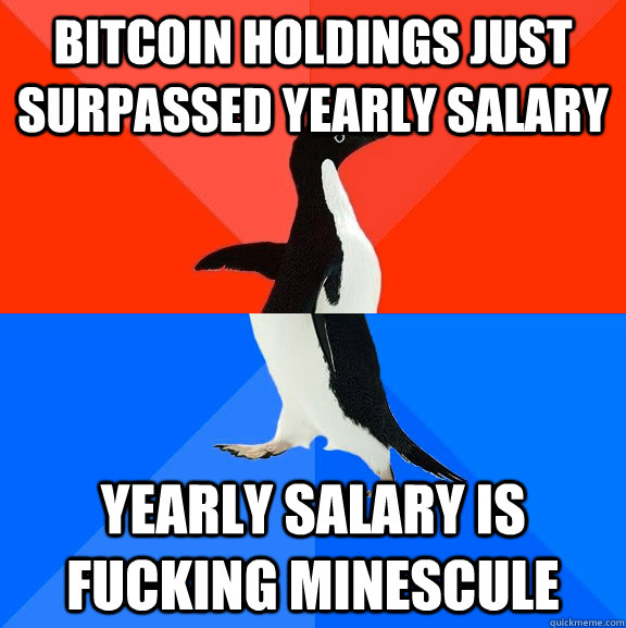 Bitcoin holdings just surpassed yearly salary Yearly salary is fucking minescule  Socially Awesome Awkward Penguin