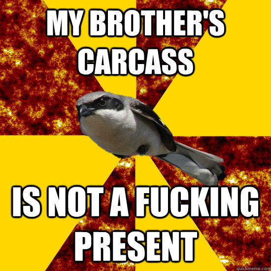my brother's carcass is not a fucking present - my brother's carcass is not a fucking present  Fury Bird
