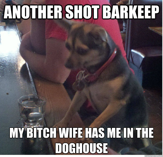 Another shot barkeep My bitch wife has me in the doghouse  